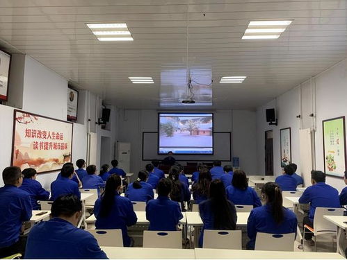 揚(yáng)五四精神 激揚(yáng)澎湃青春——教育信息咨詢的使命與路徑